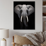 Elephant Tusked Elegance - Elephant Home Decor Art
