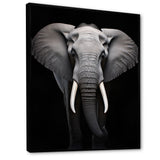 Elephant Tusked Elegance - Elephant Home Decor Art
