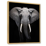 Elephant Tusked Elegance - Elephant Home Decor Art
