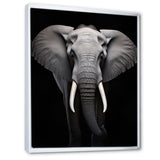 Elephant Tusked Elegance - Elephant Home Decor Art