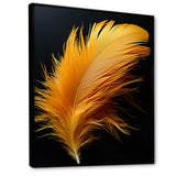 Orange Feather Elegance - Feathers Wall Decor