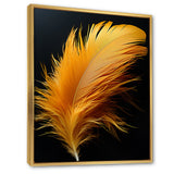 Orange Feather Elegance - Feathers Wall Decor
