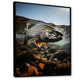 Fishing Vibrant Photo - Gray Fish Wall Art