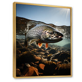 Fishing Vibrant Photo - Gray Fish Wall Art