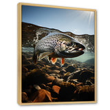 Fishing Vibrant Photo - Gray Fish Wall Art