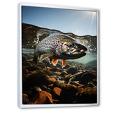 Fishing Vibrant Photo - Gray Fish Wall Art