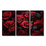 Red Black Rose Eternal Beauty IV - Canvas Multipanels Set of 3