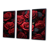 Red Black Rose Eternal Beauty IV - Canvas Multipanels Set of 3