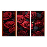 Red Black Rose Eternal Beauty IV - Canvas Multipanels Set of 3