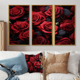 Red Black Rose Eternal Beauty IV - Canvas Multipanels Set of 3