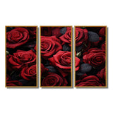 Red Black Rose Eternal Beauty IV - Canvas Multipanels Set of 3