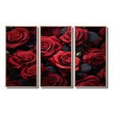 Red Black Rose Eternal Beauty IV - Canvas Multipanels Set of 3