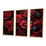 Red Black Rose Eternal Beauty IV - Canvas Multipanels Set of 3