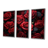 Red Black Rose Eternal Beauty IV - Canvas Multipanels Set of 3