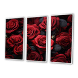 Red Black Rose Eternal Beauty IV - Canvas Multipanels Set of 3