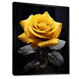 Yellow Black Rose Elegance III - Floral Canvas Wall Art