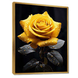 Yellow Black Rose Elegance III - Floral Canvas Wall Art