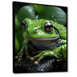 Green Frog Portrait - Frog Wall Art Prints