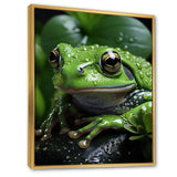Green Frog Portrait - Frog Wall Art Prints