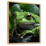 Green Frog Portrait - Frog Wall Art Prints