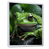 Green Frog Portrait - Frog Wall Art Prints
