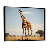 Giraffe Gentle Horizon - Giraffe Living Room Wall Art