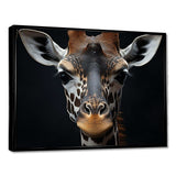 Black And White Giraffe Portrait I - Animals Canvas Wall Art