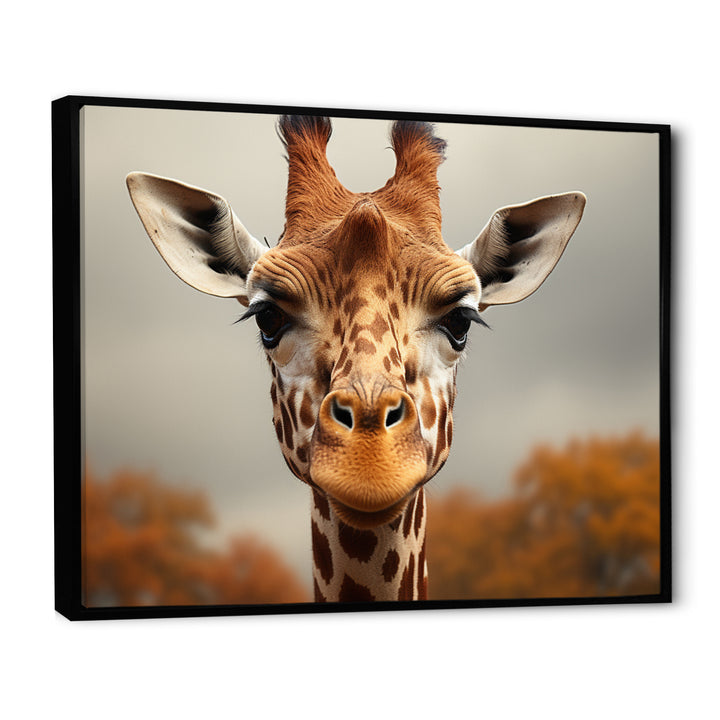 Giraffe Gentle Portrait - Giraffe Bedroom Wall Art