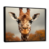 Giraffe Gentle Portrait - Giraffe Bedroom Wall Art