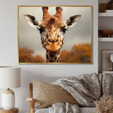 Giraffe Gentle Portrait - Giraffe Bedroom Wall Art