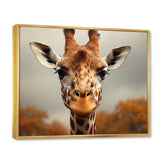 Giraffe Gentle Portrait - Giraffe Bedroom Wall Art