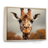 Giraffe Gentle Portrait - Giraffe Bedroom Wall Art