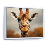 Giraffe Gentle Portrait - Giraffe Bedroom Wall Art