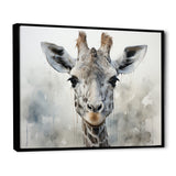 Giraffe Graceful Necks - Giraffe Canvas Wall Art