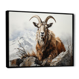 Goat Mountain Majesty - Goat Framed Canvas Art
