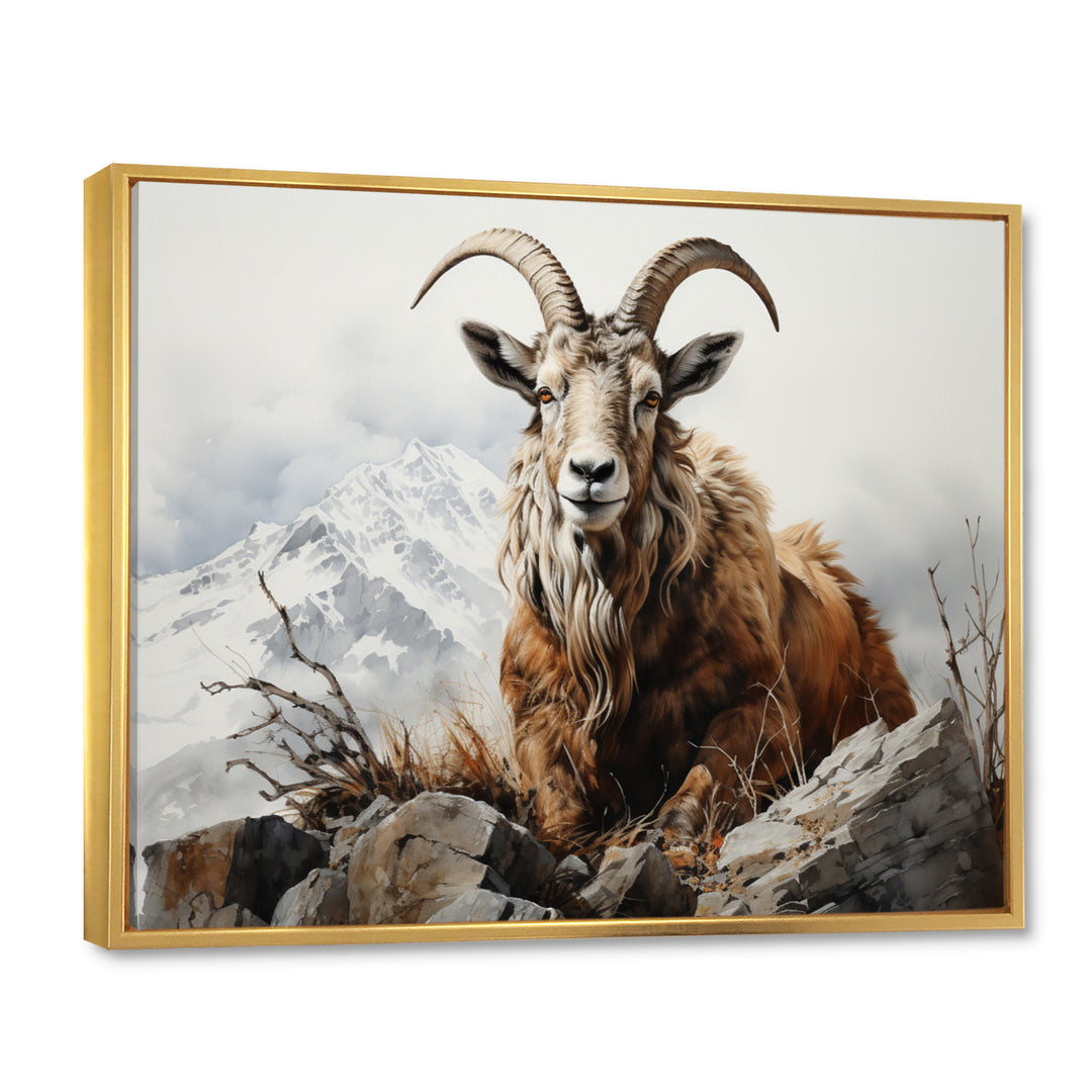 Goat Mountain Majesty - Goat Framed Canvas Art