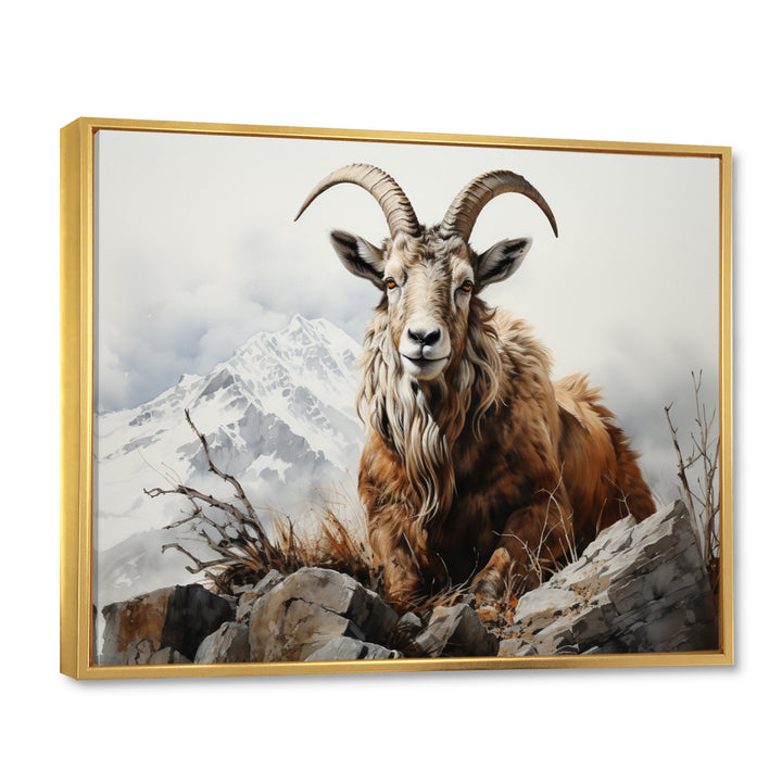 Goat Mountain Majesty - Goat Framed Canvas Art