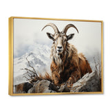 Goat Mountain Majesty - Goat Framed Canvas Art