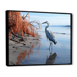 Heron Morning Stroll - Heron Framed Canvas Art