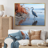 Heron Morning Stroll - Heron Framed Canvas Art