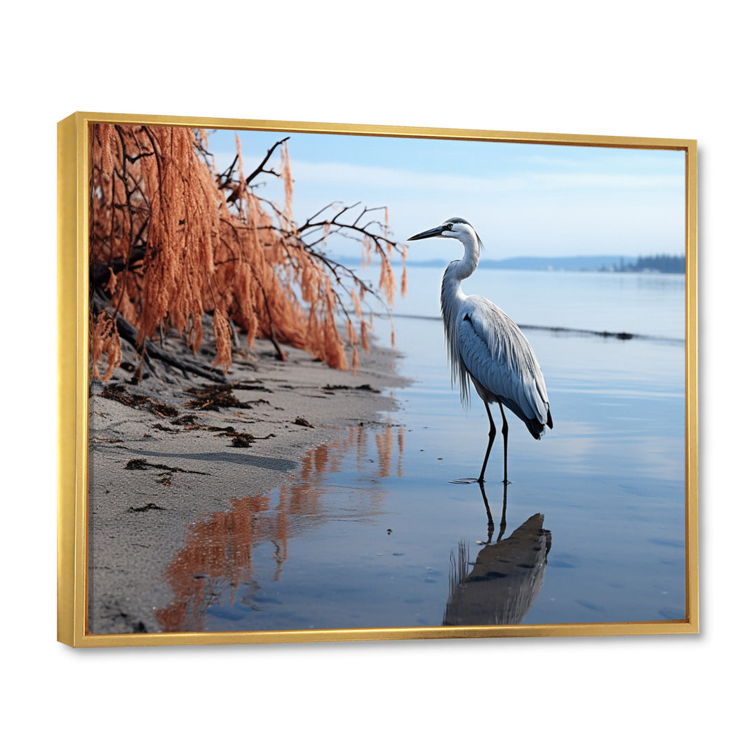 Heron Morning Stroll - Heron Framed Canvas Art