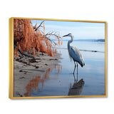 Heron Morning Stroll - Heron Framed Canvas Art