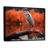 Heron Serenity In Monochrome - Heron Living Room Wall Art