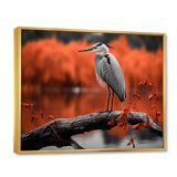 Heron Serenity In Monochrome - Heron Living Room Wall Art