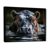 Hippopotamus Portrait Monochrome - Hippopotamus Framed Canvas Art