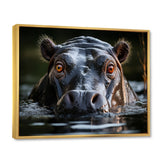 Hippopotamus Portrait Monochrome - Hippopotamus Framed Canvas Art