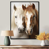 White And Brown Horse Dynamic Duo V - Animals Canvas Wall Art