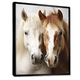 White And Brown Horse Dynamic Duo V - Animals Canvas Wall Art