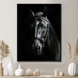 Black And White Horse Elegance - Animals Canvas Wall Art