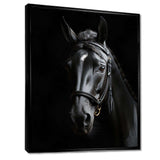 Black And White Horse Elegance - Animals Canvas Wall Art